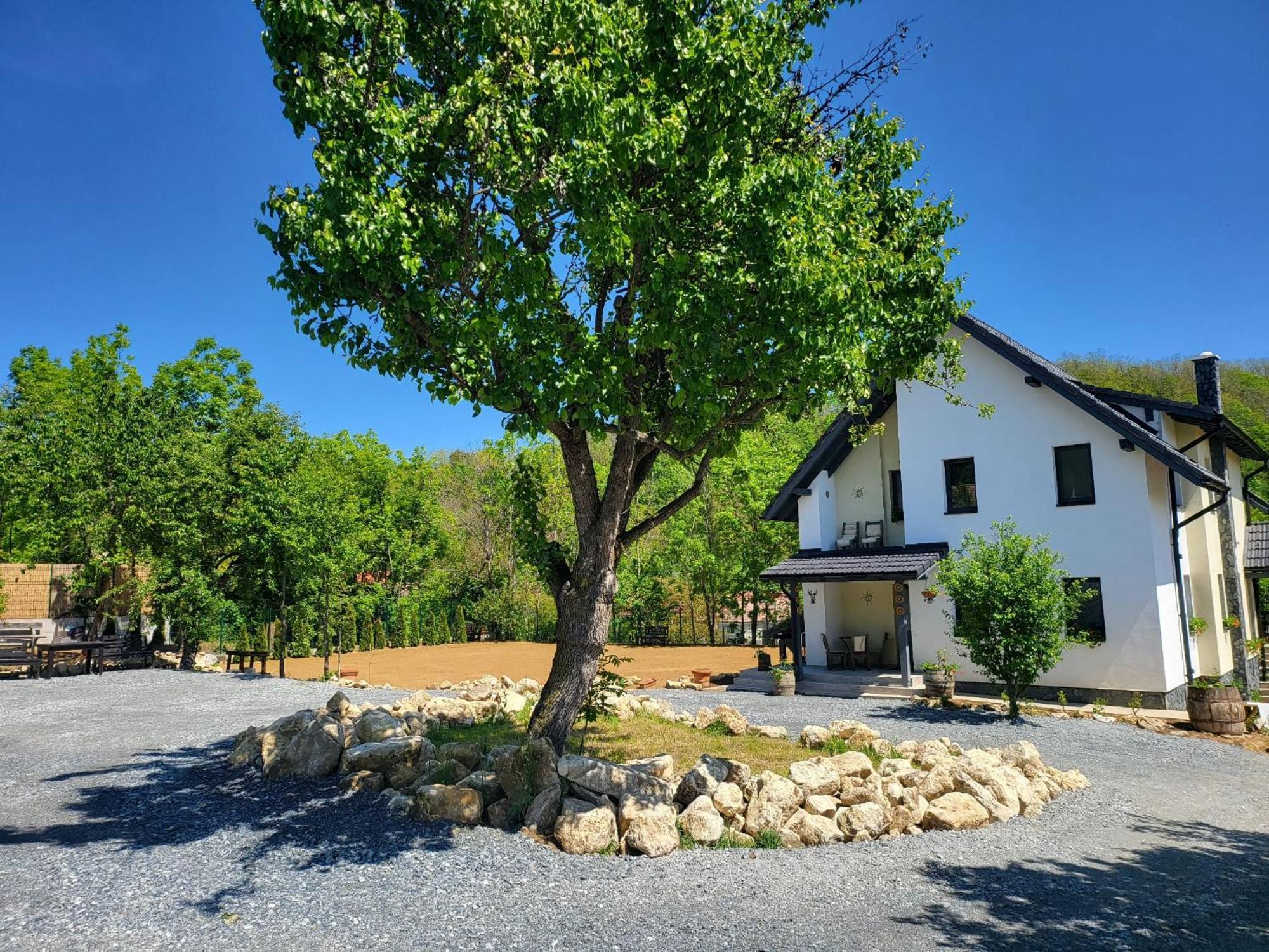 Pensiunea Casa Dacilor Podeni Esterno foto