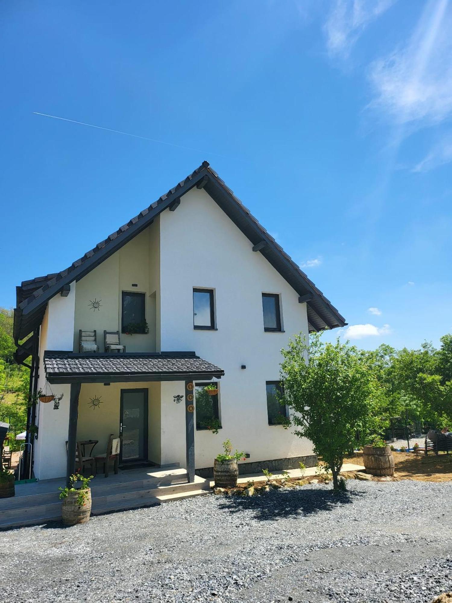 Pensiunea Casa Dacilor Podeni Esterno foto